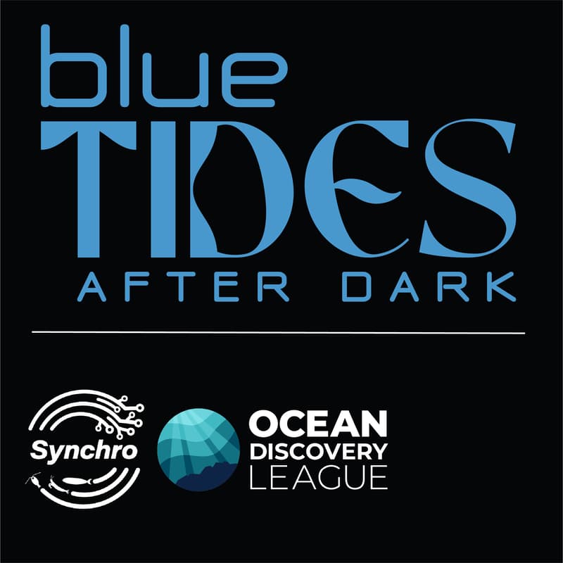 Cover Image for blueTIDES After Dark - Ocean Sciences Meeting