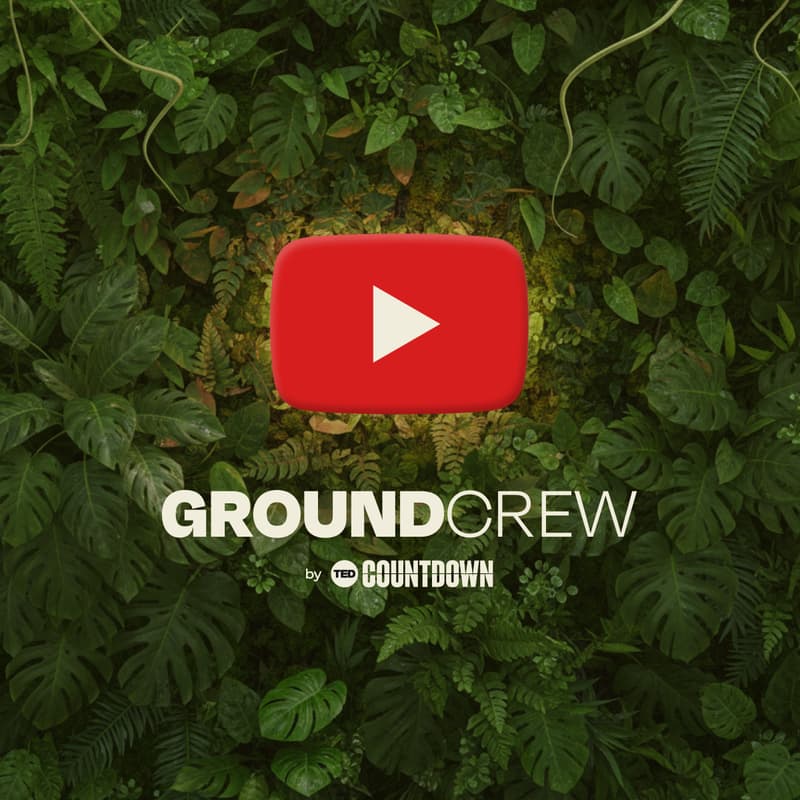 Cover Image for Ground Crew AMA with YouTube’s Climate Lead
