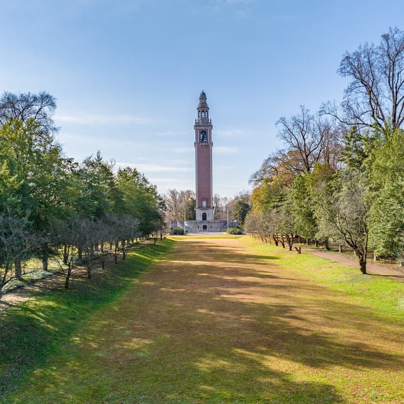 Cover Image for A Spring Warm Data Lab