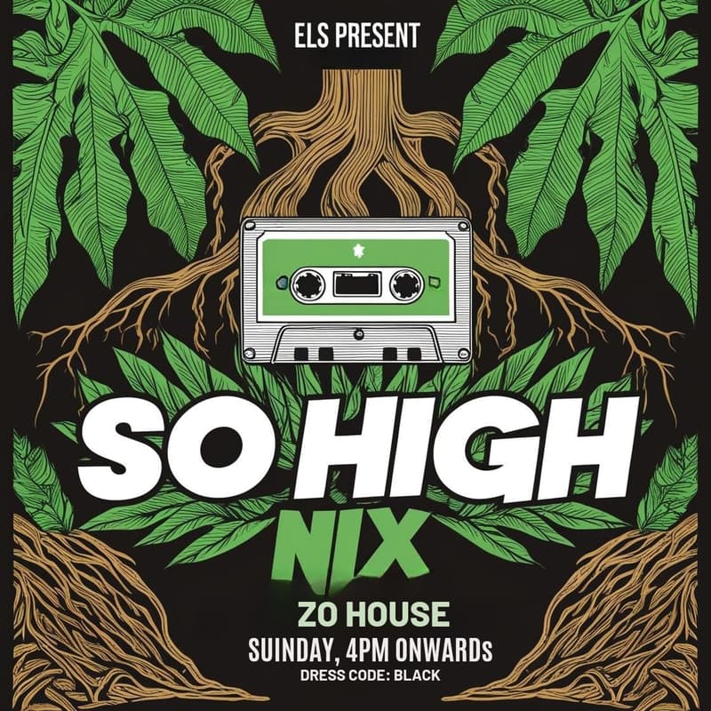 Cover Image for ELS presents So High