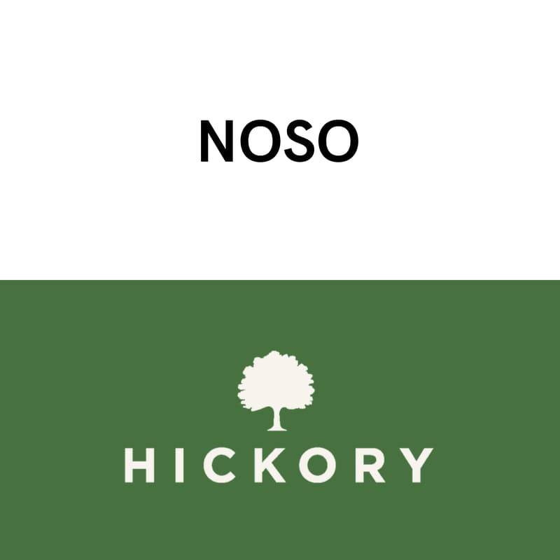 Cover Image for AI in Trades: Hickory X NOSO Labs F1 Experience