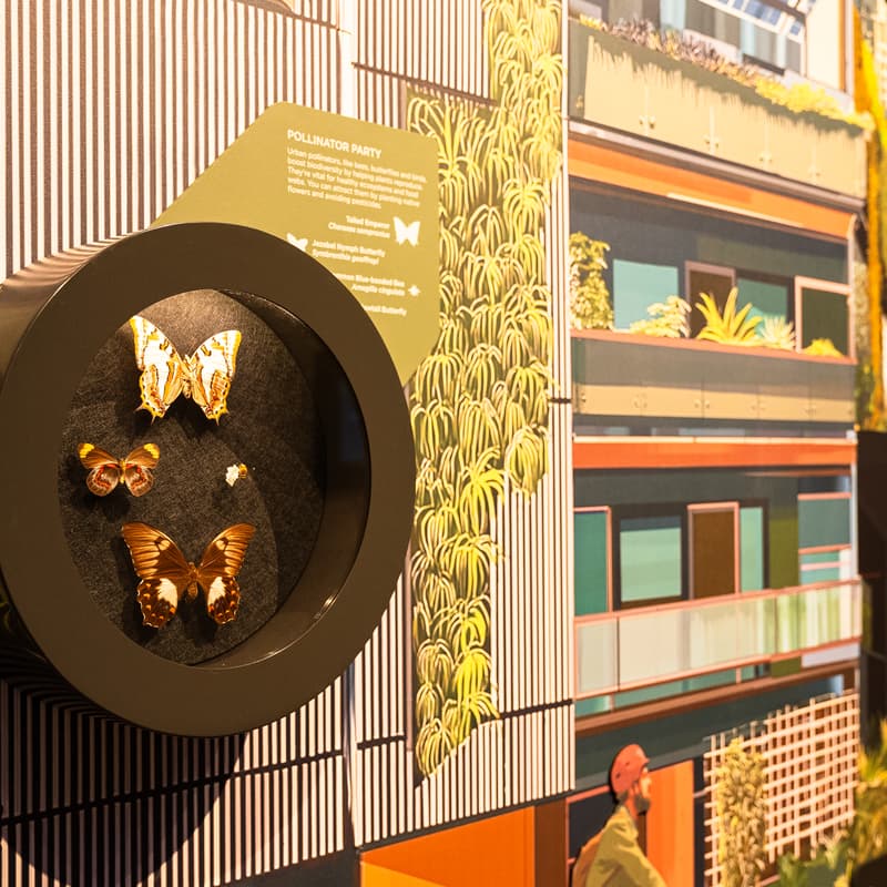 Cover Image for Behind the Scenes at the Australian Museum