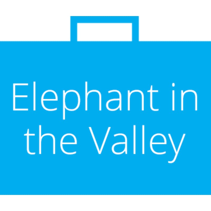 Cover Image for Elephant in the Valley