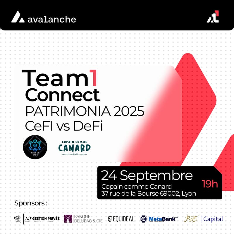 Cover Image for Team1 Connect - Patrimonia 2025