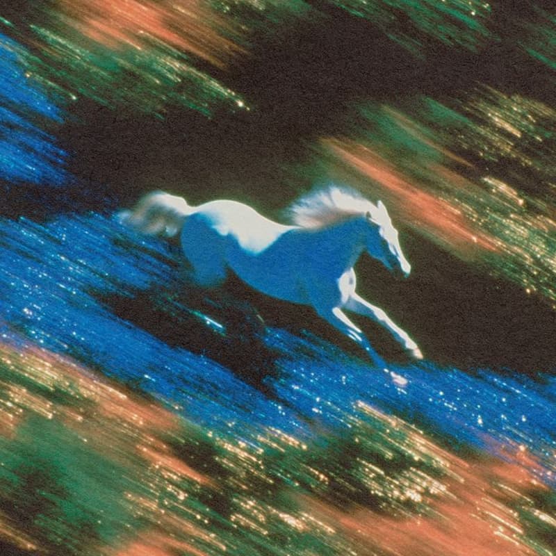 Cover Image for Year of the Fire Horse Sound Bath 🐎