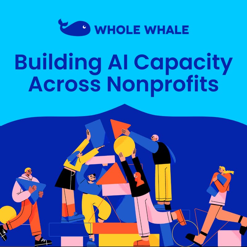Cover Image for Building AI Capacity Across Nonprofits
