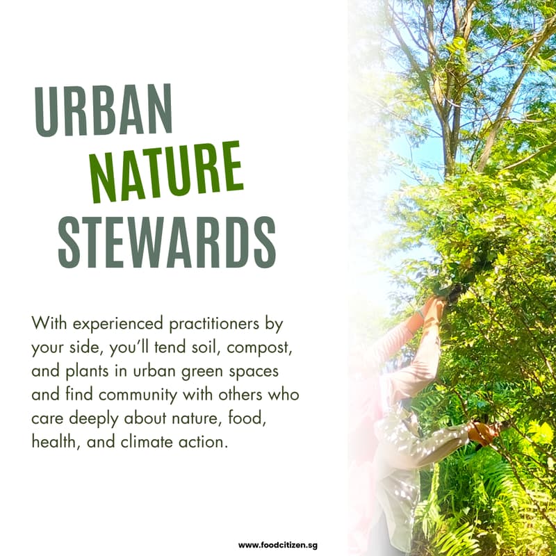 Cover Image for Urban Nature Stewards (Bukit Gombak)