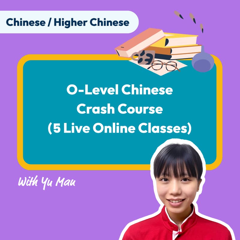 Cover Image for O-Level Chinese Crash Course (5 Live Online Classes)