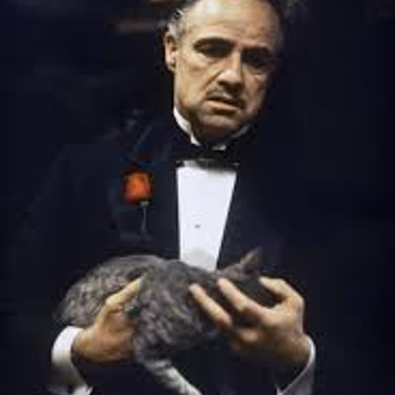 Cover Image for Dinner and a Movie - The Godfather