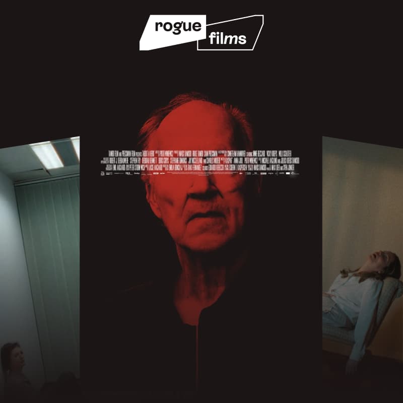 Cover Image for Rogue Films: About a Hero