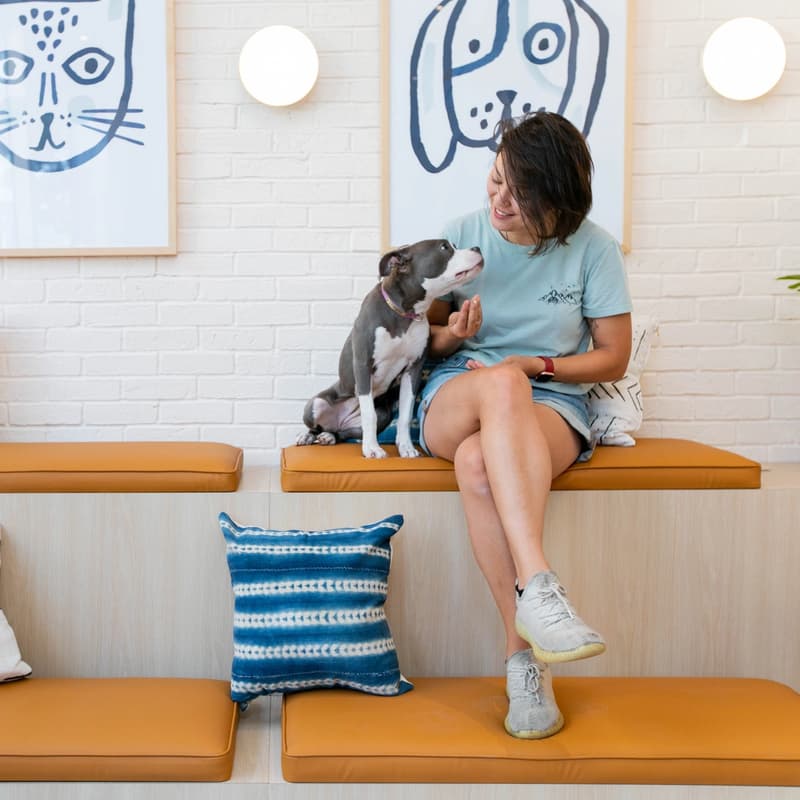 Cover Image for Woofbowl Pupsgiving at Bond Vet