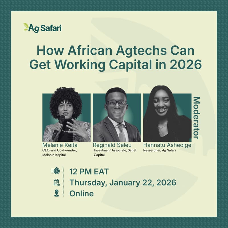 Cover Image for How African Agtechs Can Get Working Capital in 2026