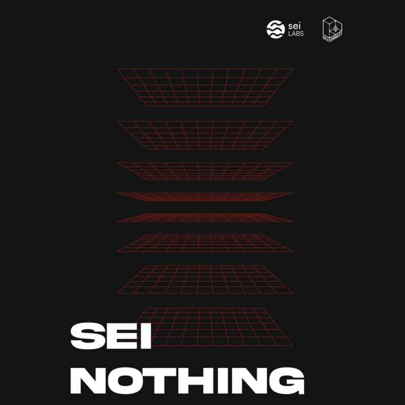 Cover Image for Sei Nothing: Buenos Aires Edition