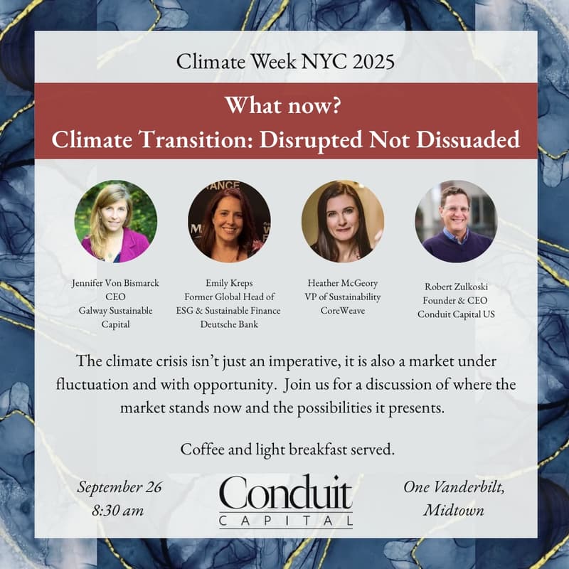 Cover Image for RESCHEDULED What Now? Climate Transition: disrupted but not dissuaded