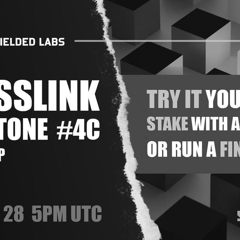 Cover Image for Crosslink Milestone 4c