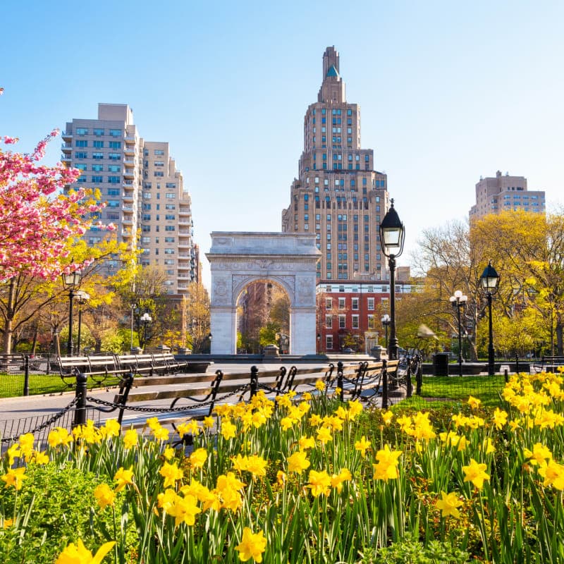 Cover Image for Abundance NY Spring Happy Hour & Election Preview