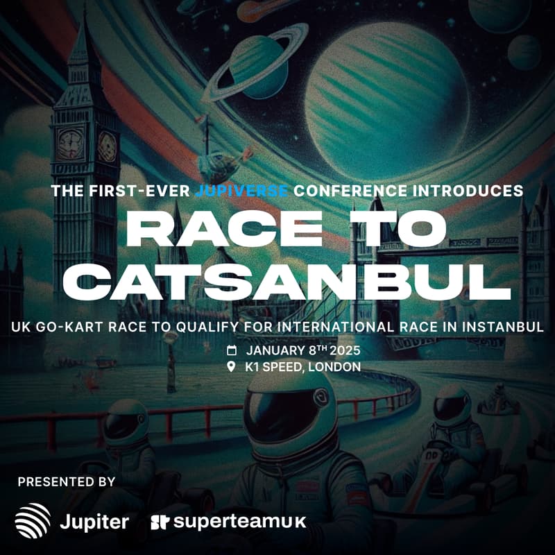 Cover Image for Race to Catstanbul : UK Edition