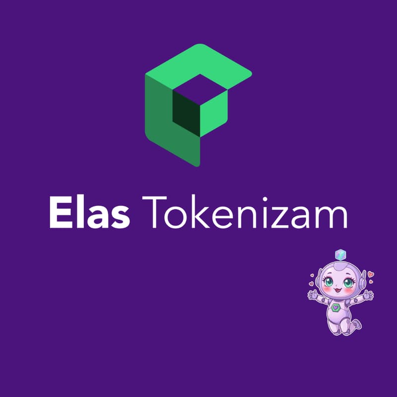 Cover Image for Lançamento - Elas Tokenizam