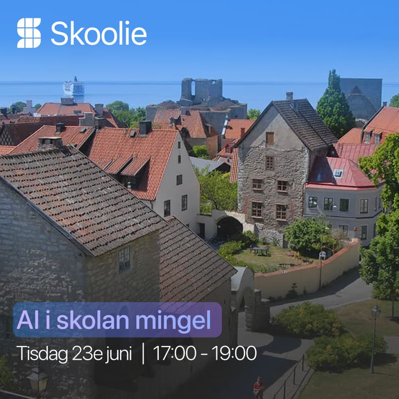 Cover Image for Skoolies AI mingel