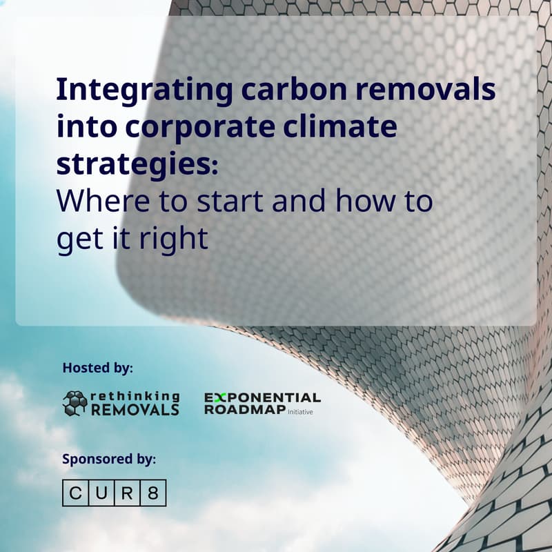 Cover Image for Integrating carbon removals into corporate climate strategies: Where to start and how to get it right