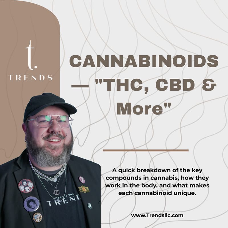Cover Image for CANNABINOIDS 101 — THC, CBD & More