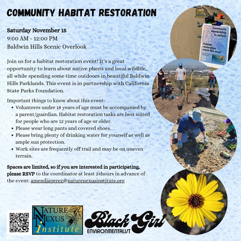 Cover Image for Black Girl Environmentalist joins Nature Nexus Institute: Community Habitat Restoration