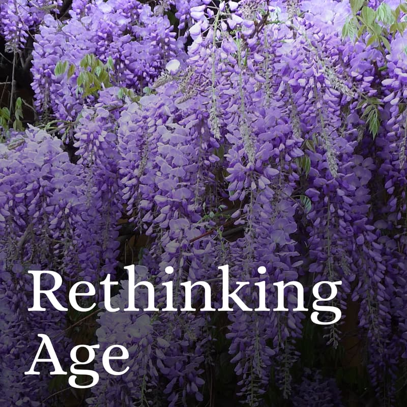 Cover Image for Aliveness and how to find it: a workshop on age and possibilities