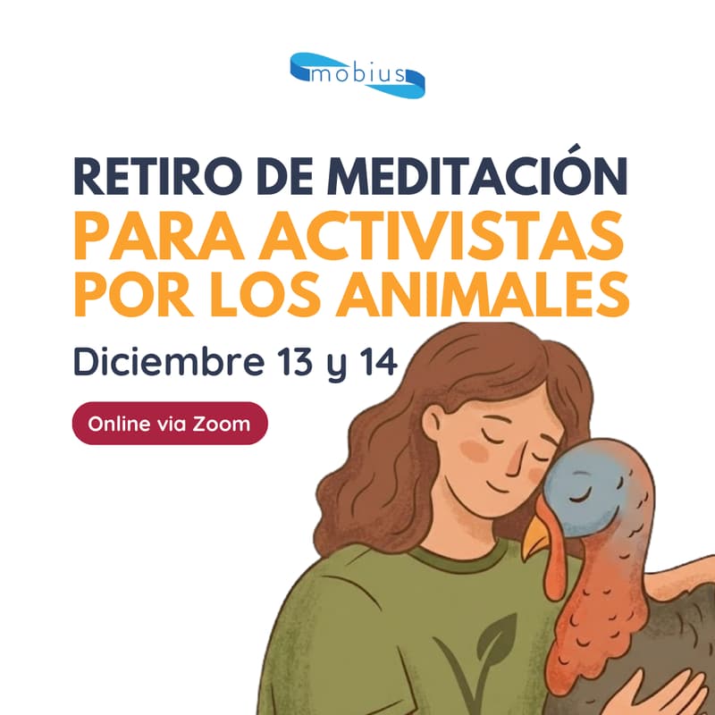 Cover Image for Retiro de meditación para activistas por los animales: Manejo de emociones para un activismo sostenible