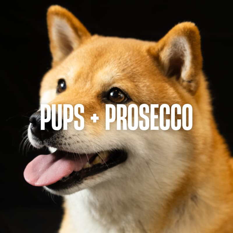 Cover Image for Pups + Prosecco
