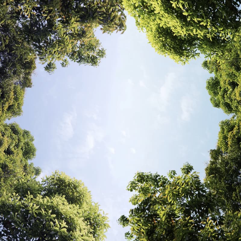 Cover Image for Well-Being for Transitioning Career Professionals