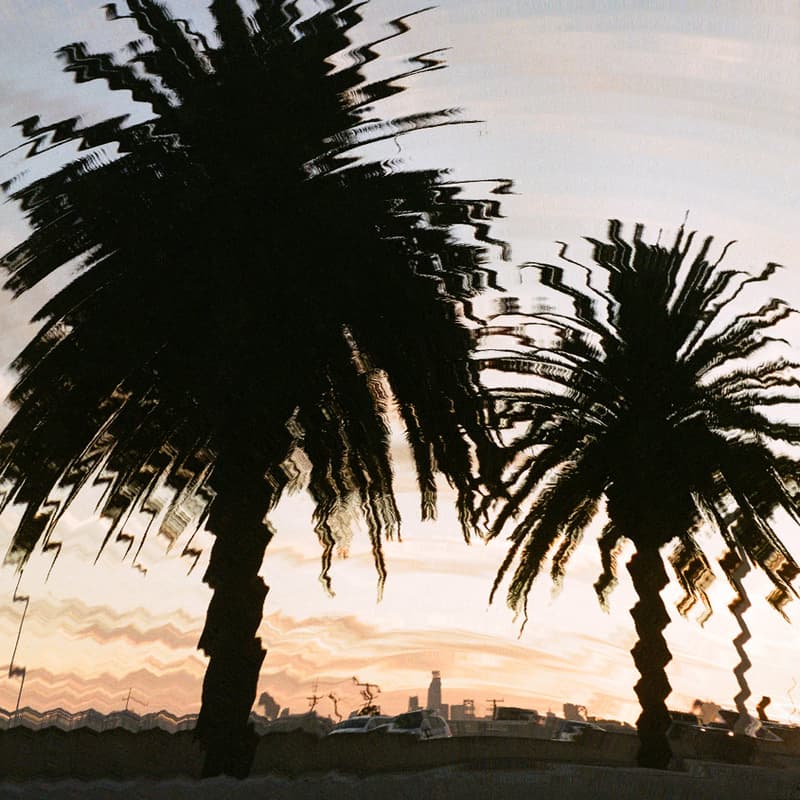 Cover Image for Ikenga Wines X Café 15