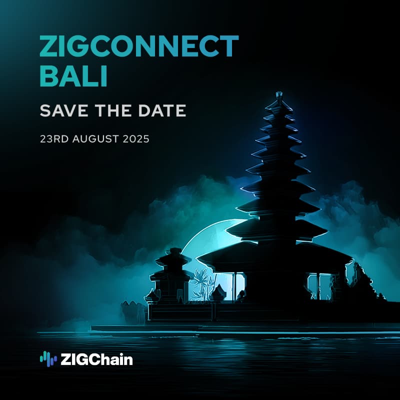 Cover Image for ZIGConnect Bali | Powered by Momin Saqib