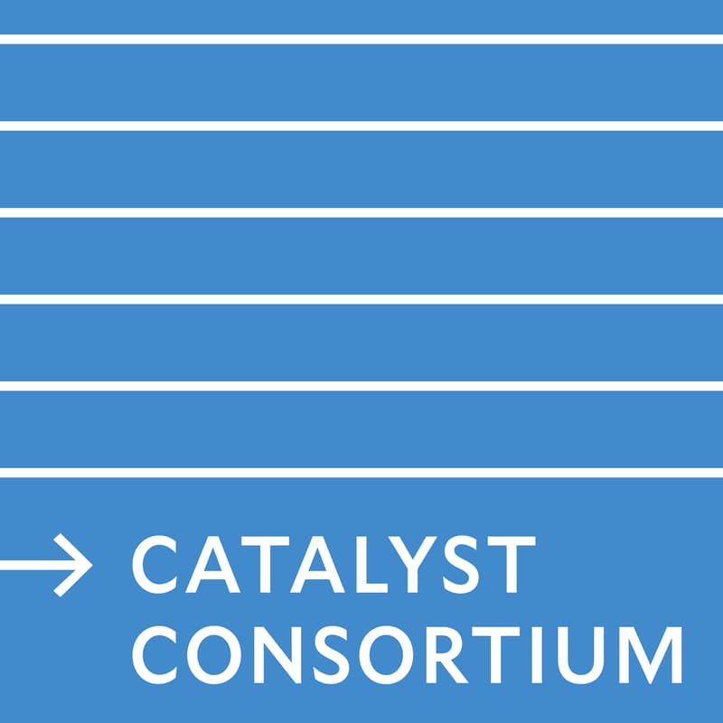 Cover Image for Scaling Resilience for a Changing Planet: A Collaborative Conversation from the Yale Planetary Solutions Catalyst Consortium