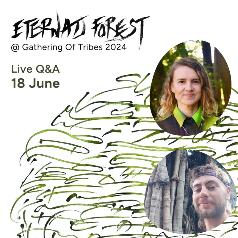 Cover Image for Q&A Eternal Forest Camp at Gathering Of Tribes 2024