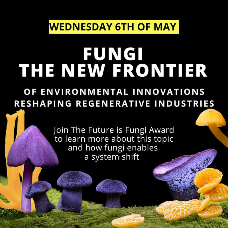 Cover Image for Fungi: The New Frontier of Environmental Innovations - Reshaping Sectors to be Regenerative and Biobased