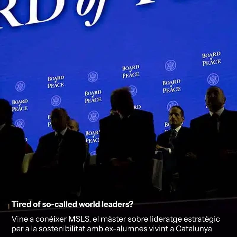 Cover Image for Masters in Strategic Leadership Towards Sustainability