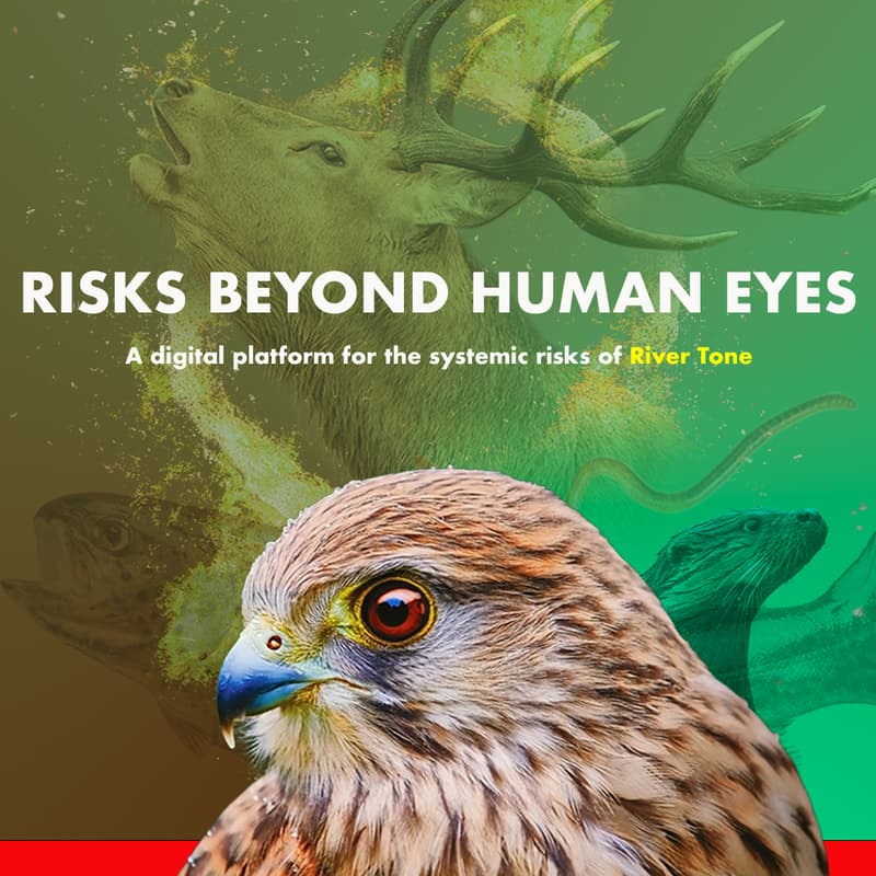 Cover Image for River Tone Risks Beyond Human Eyes: Launch Event