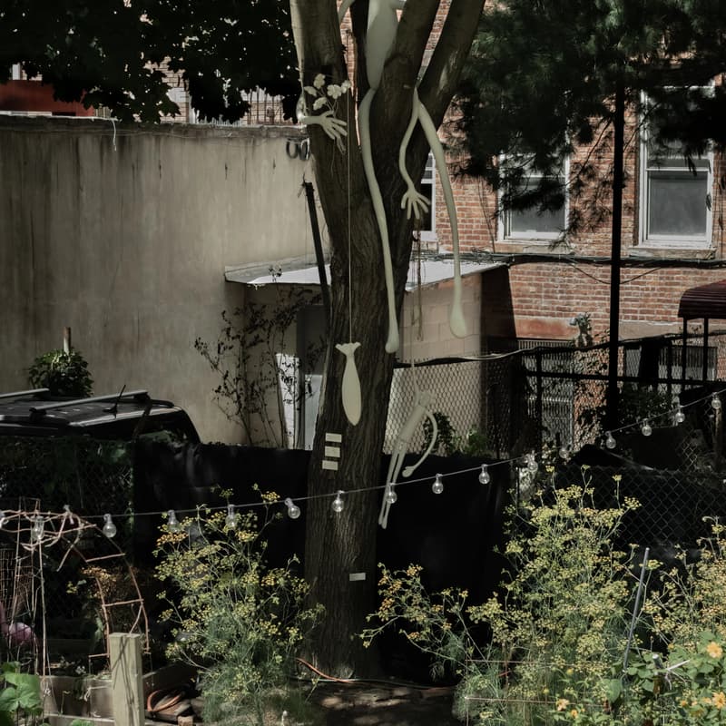 Cover Image for The Garden of Studio Wenjüe Lu