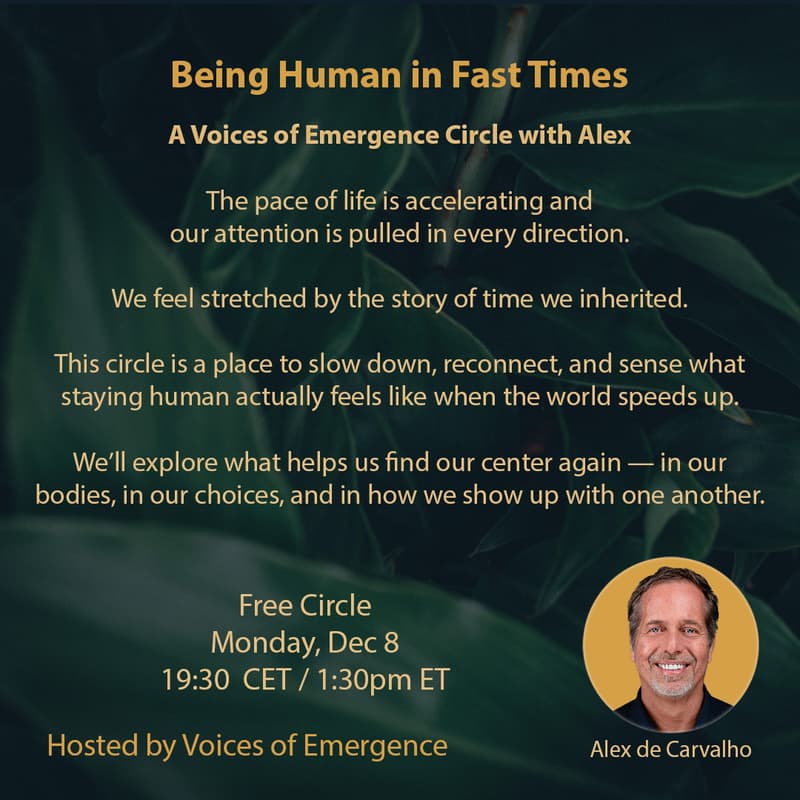 Cover Image for Being Human in Fast Times