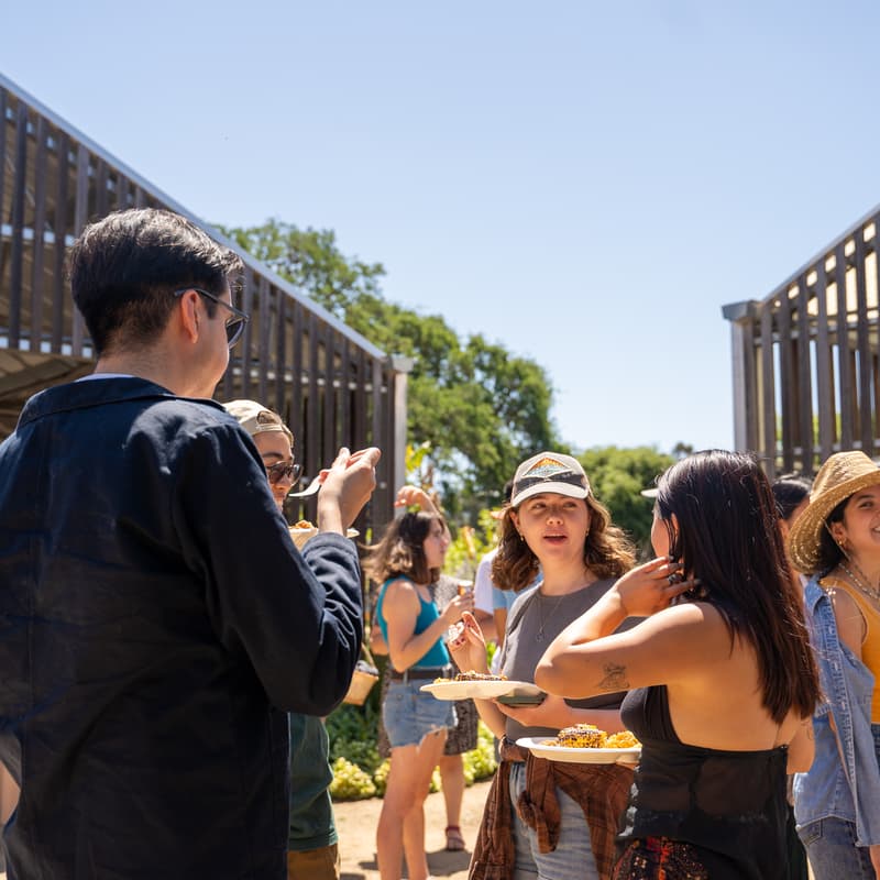 Cover Image for Earthtones Festival 2026