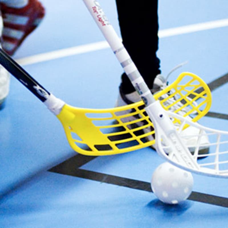 Cover Image for Innebandy (floor ball)