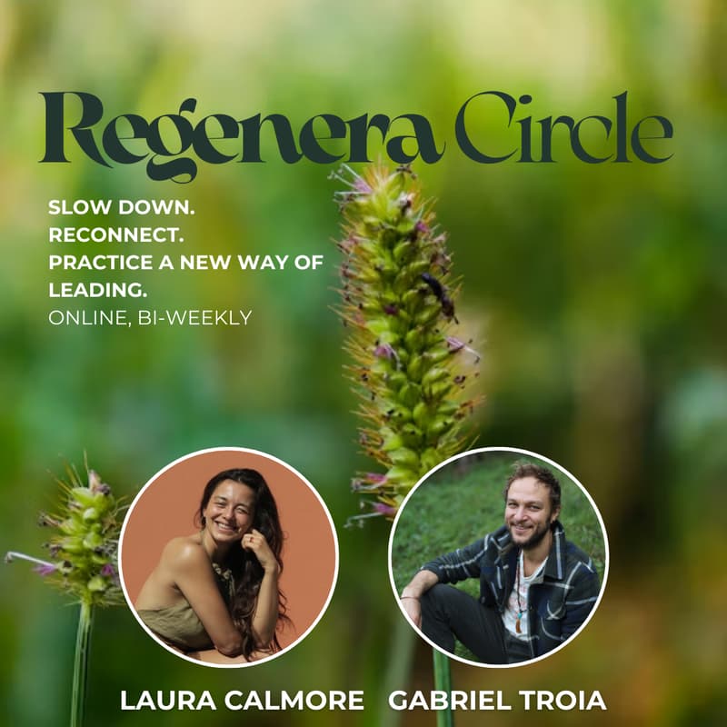 Cover Image for REGENERA Online Circle – A pause to practice inner-led change for leaders