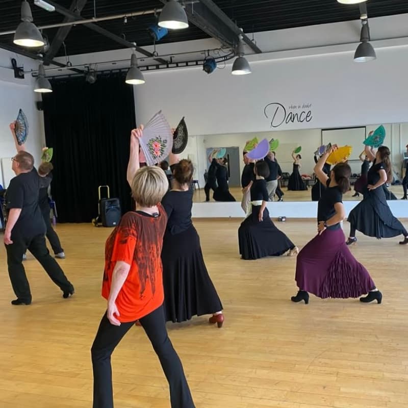 Cover Image for Beginner’s Flamenco Workshop with Nuria