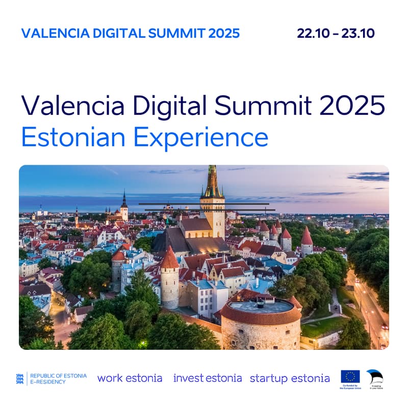 Cover Image for VDS 2025: Estonian Experience