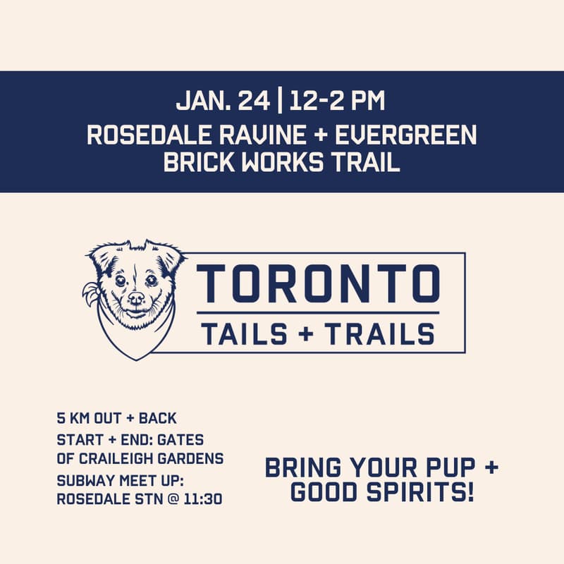 Cover Image for Evergreen Brick Works Pack Walk