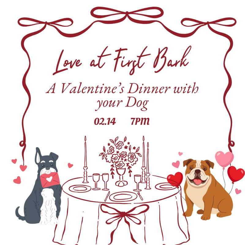 Cover Image for Love at First Bark: A Valentine's Dinner with your Dog