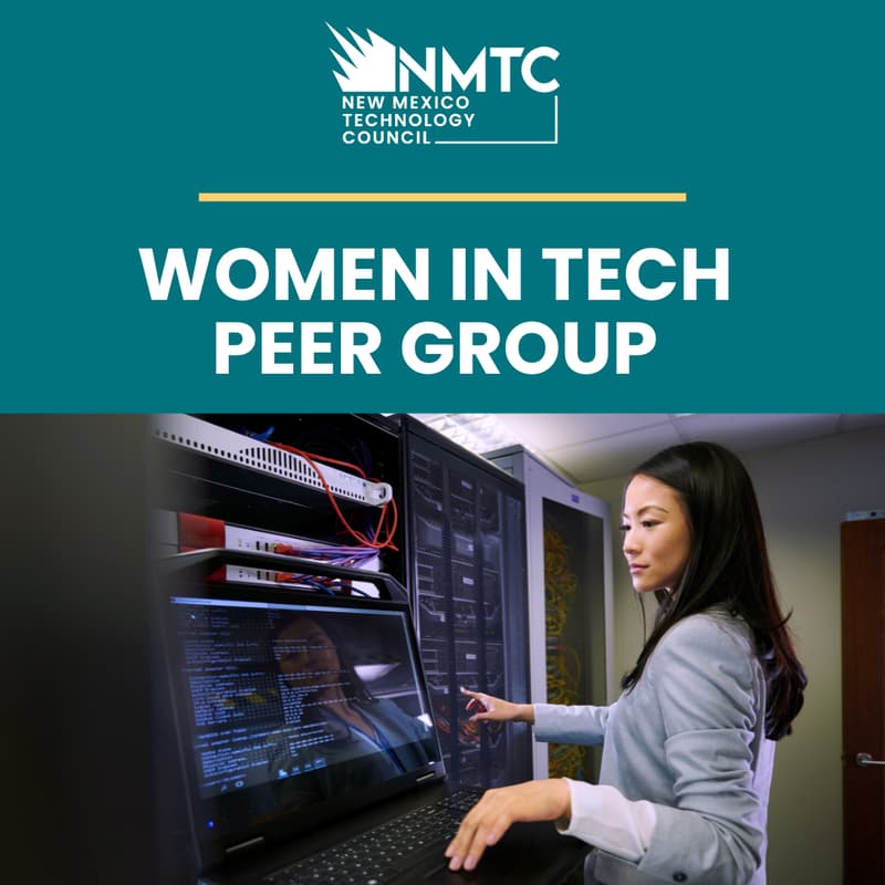 Cover Image for January Women in Tech Peer Group