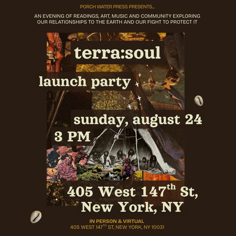 Cover Image for terra:soul launch party