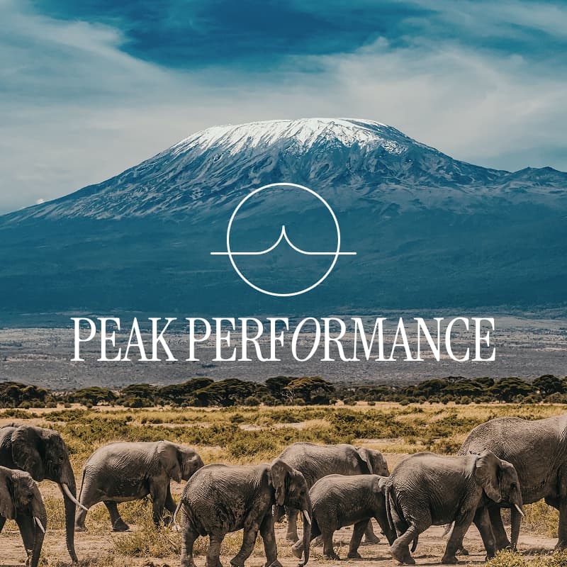 Cover Image for Peak Performance - Africa
