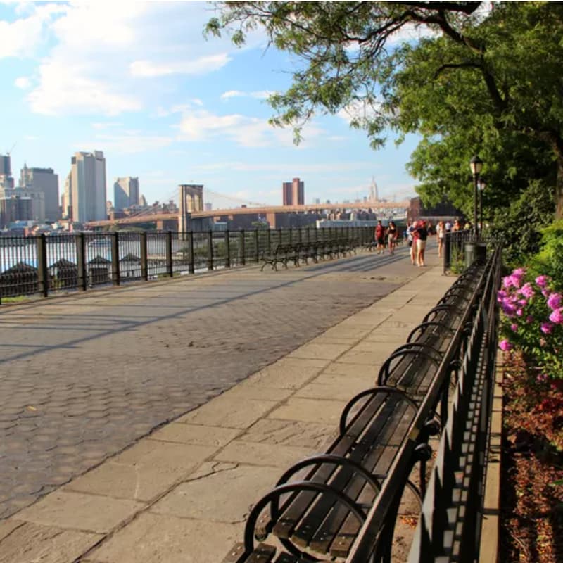 Cover Image for NYC Pop-Up Walk 👟